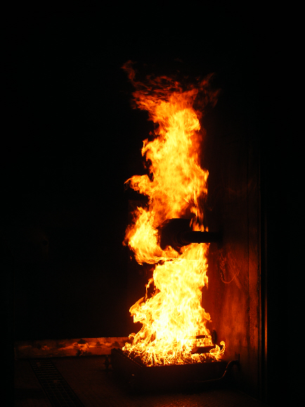 wpaa924488.jpg